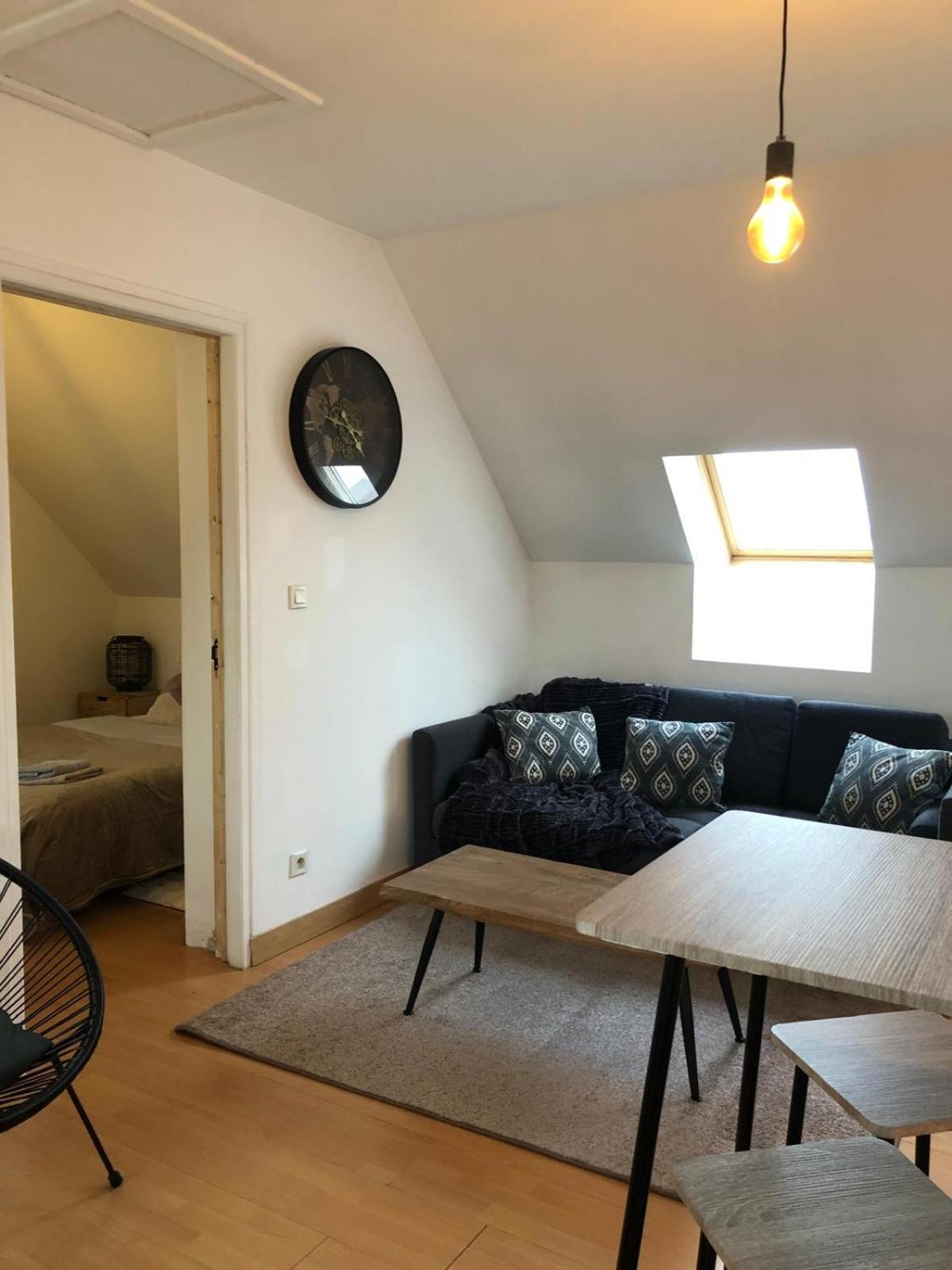 Apartment Duplex Lumineux Avec Parking Et Wi-fi Offert